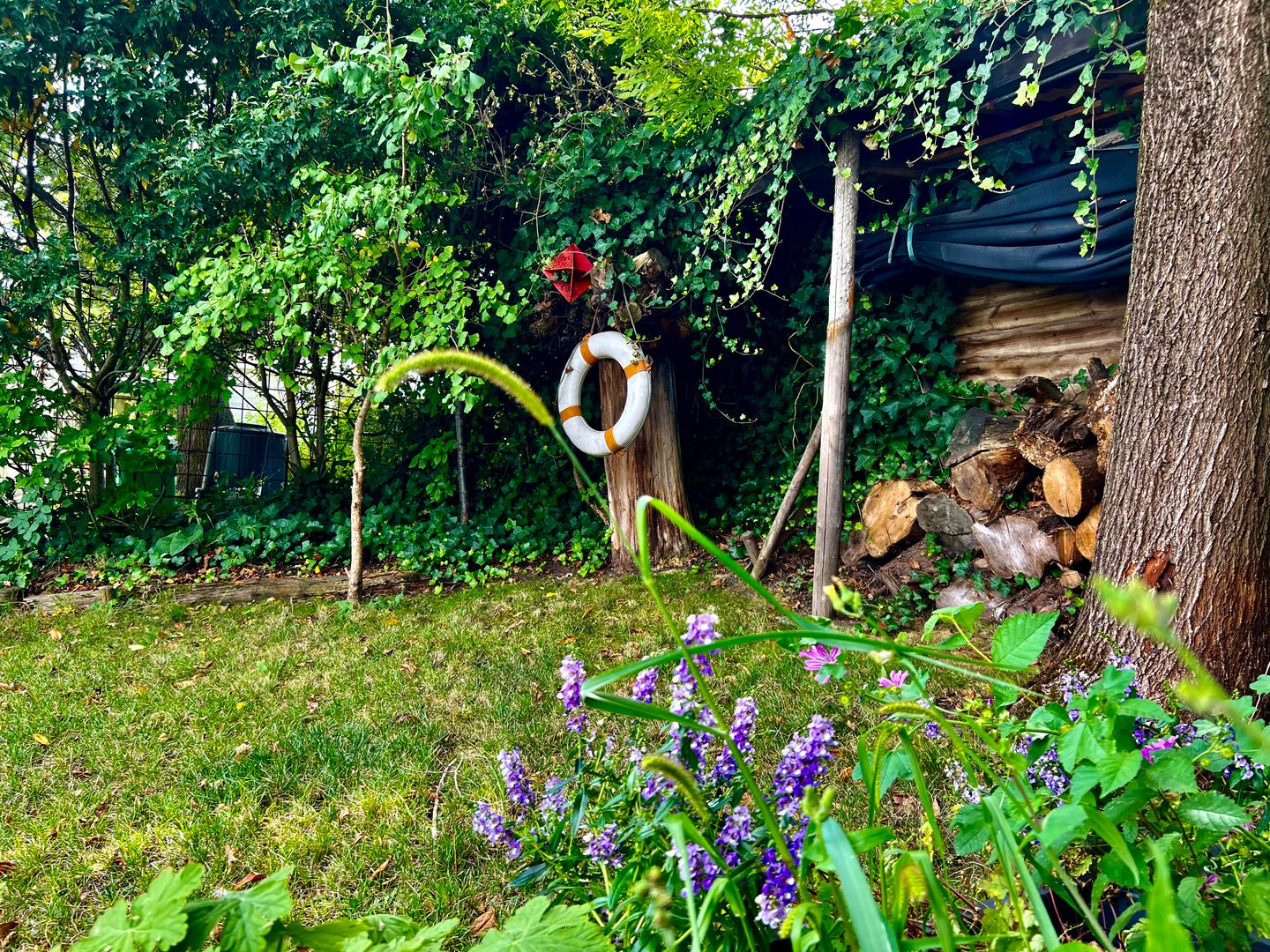 Foto 35 van Grasweg 21-A