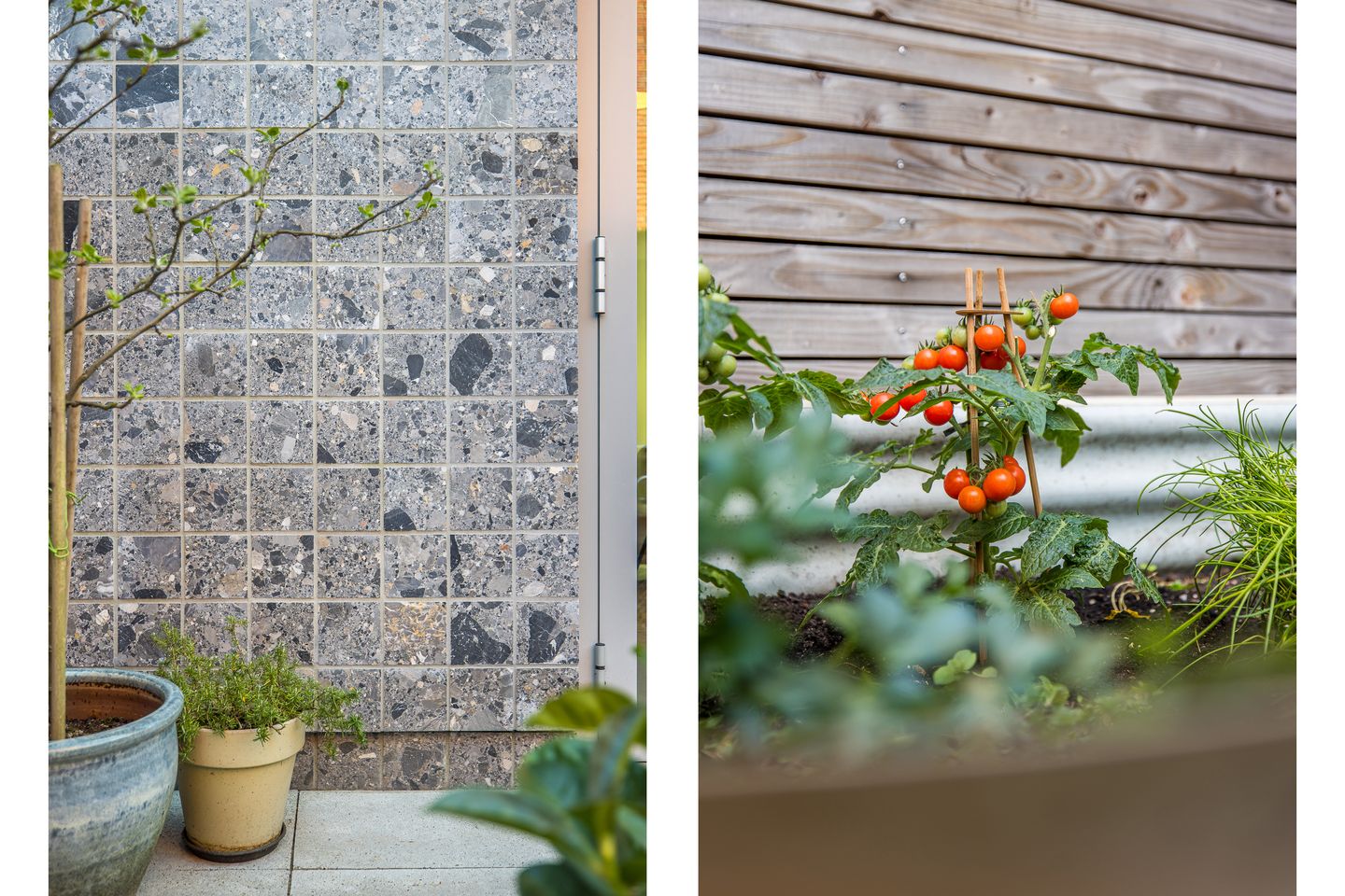 Foto 29 van Bromwissel 23