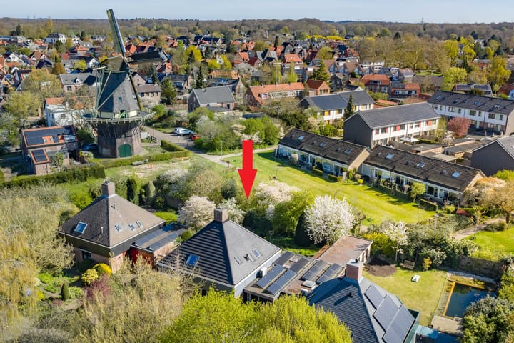 't Spiker 38 main image