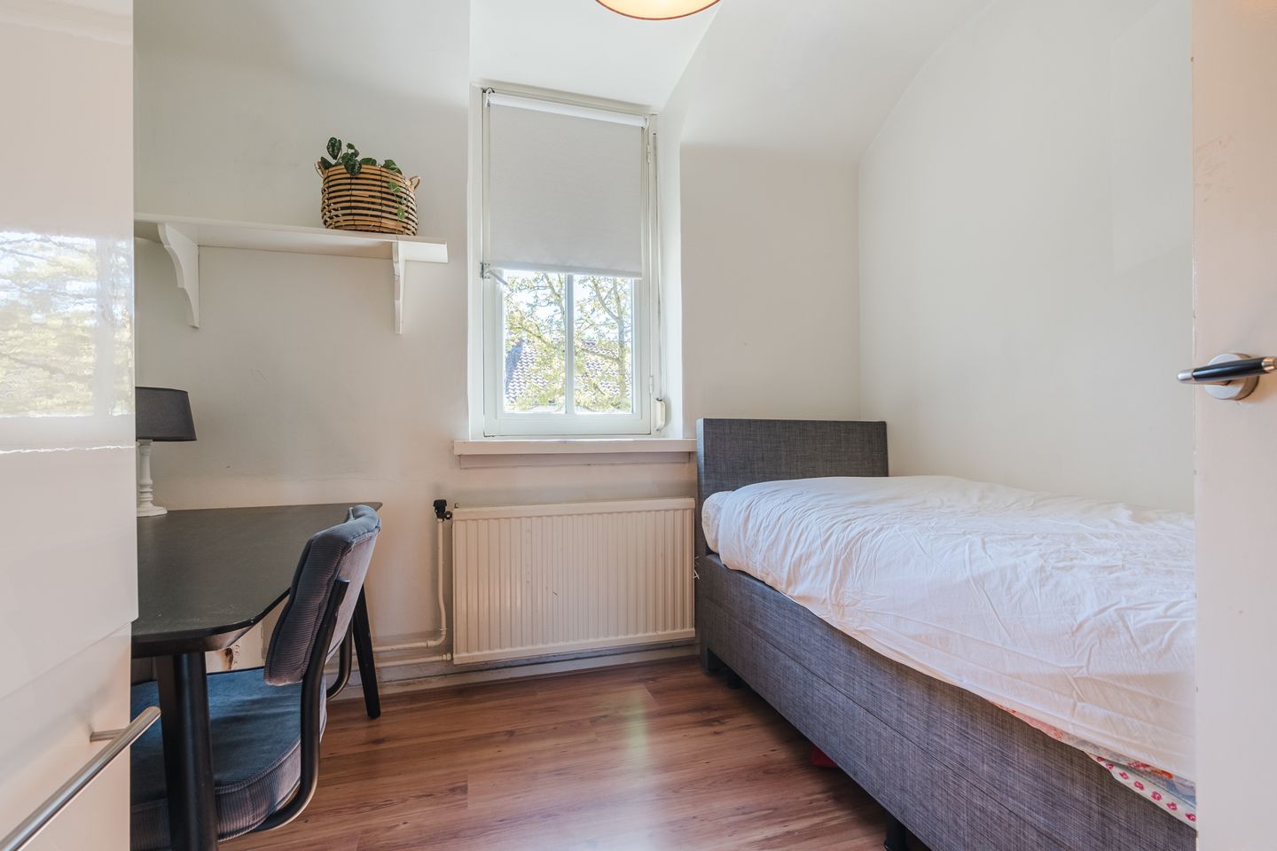 Foto 29 van Roothaanstraat 6