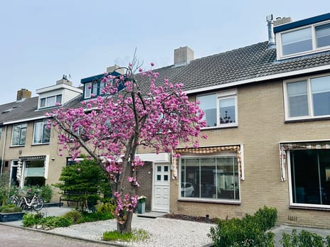 Kagertuinen thumbnail