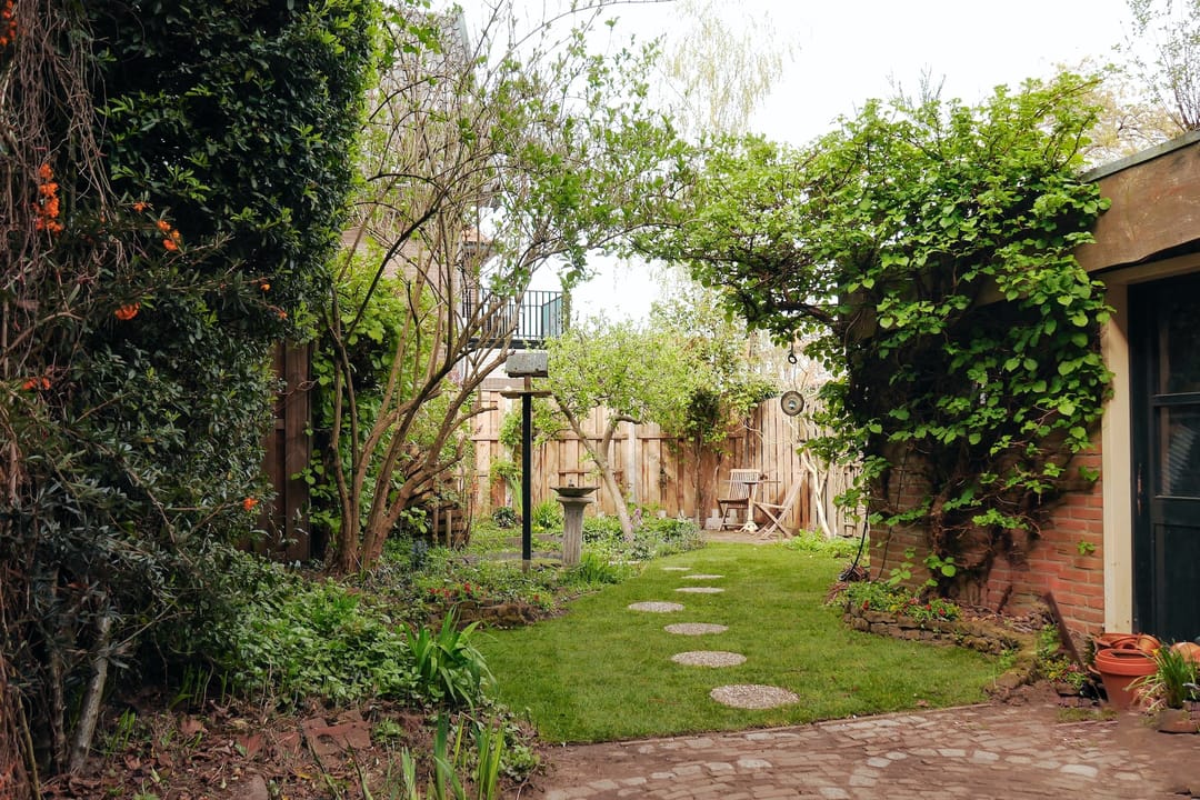 Foto 2 van Albert Cuypstraat 19