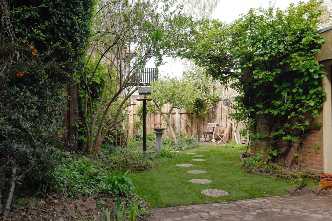 Foto 23 van Albert Cuypstraat 19