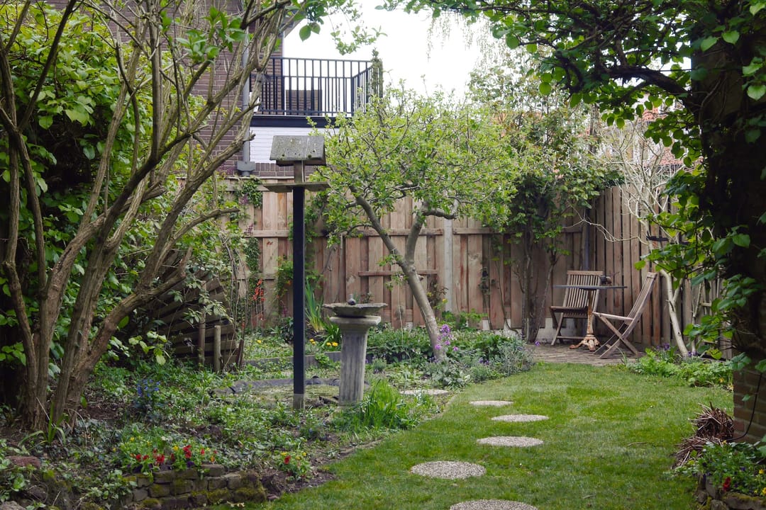 Foto 26 van Albert Cuypstraat 19