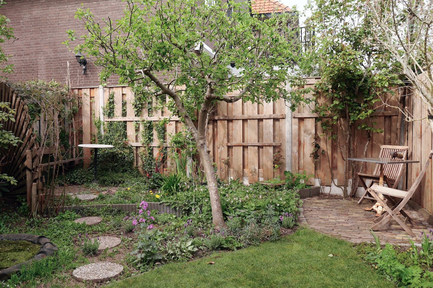 Foto 49 van Albert Cuypstraat 19