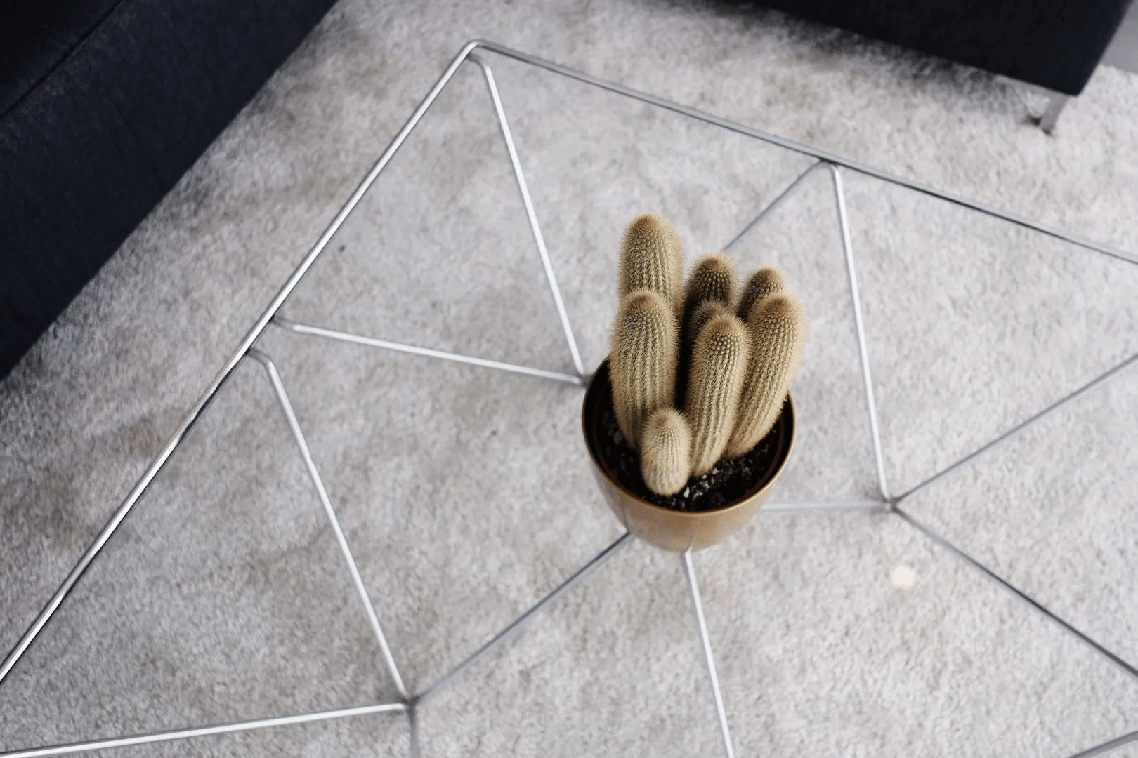 Foto 6 van Coolhaven 164-B