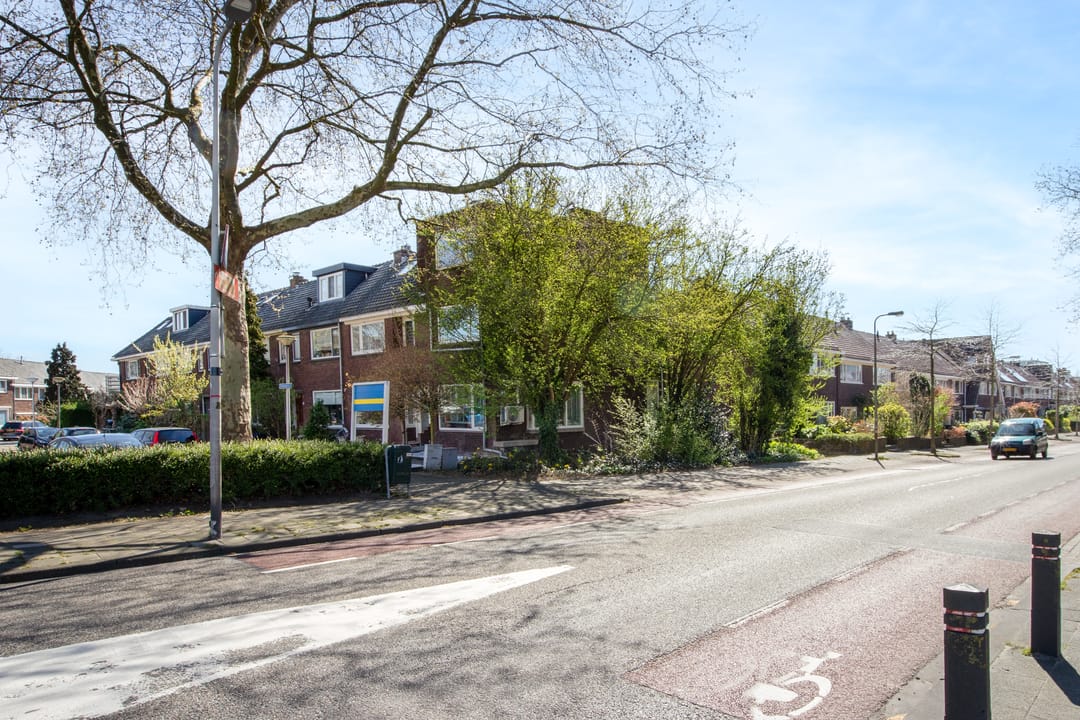 Foto 53 van Koekoekplein 13