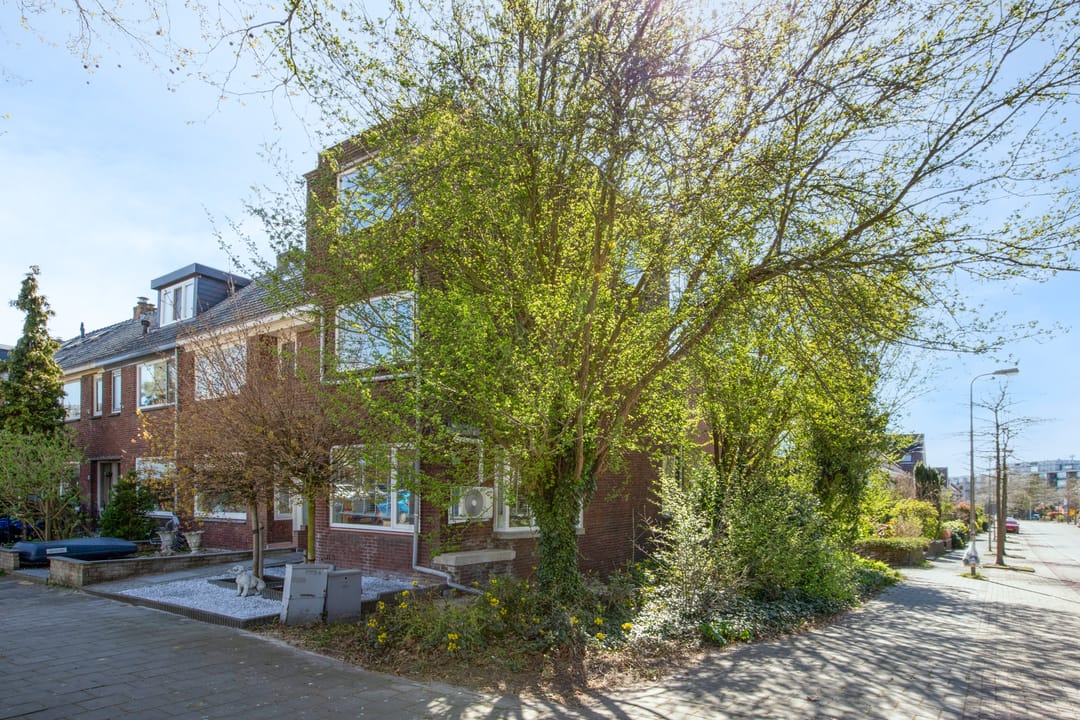 Foto 52 van Koekoekplein 13