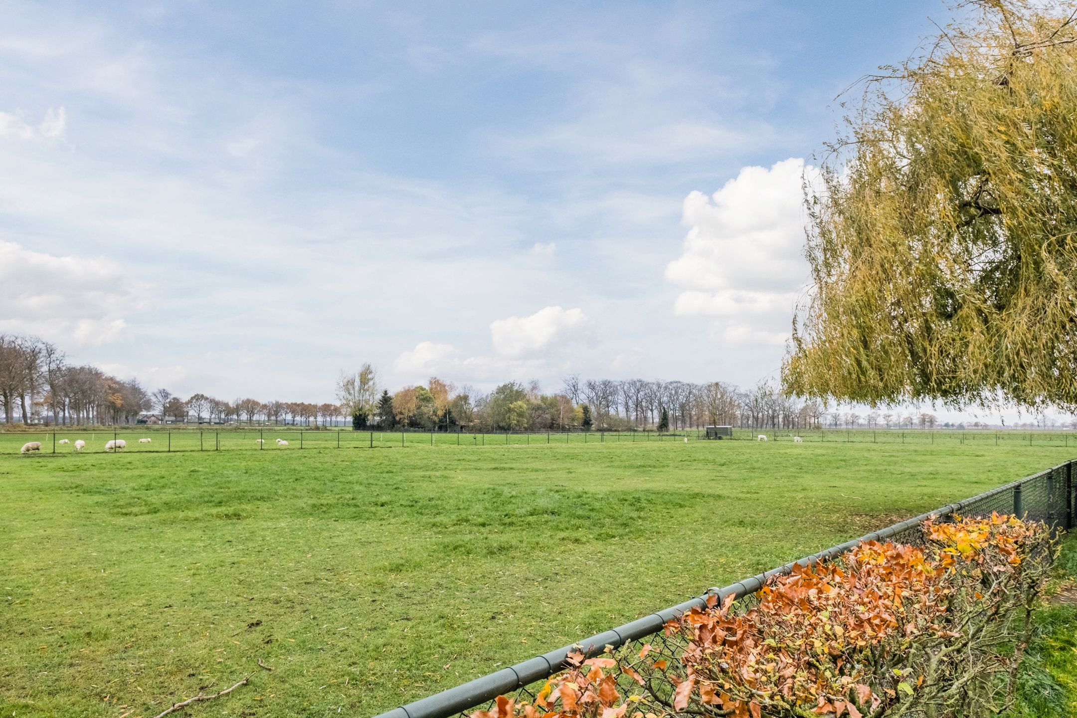 Foto 48 van Jekschotstraat 11-A