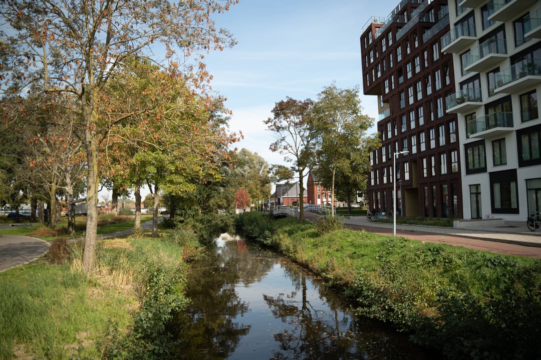 Foto 22 van Mies van der Rohestraat 289