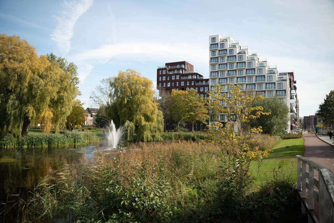 Foto 23 van Mies van der Rohestraat 289