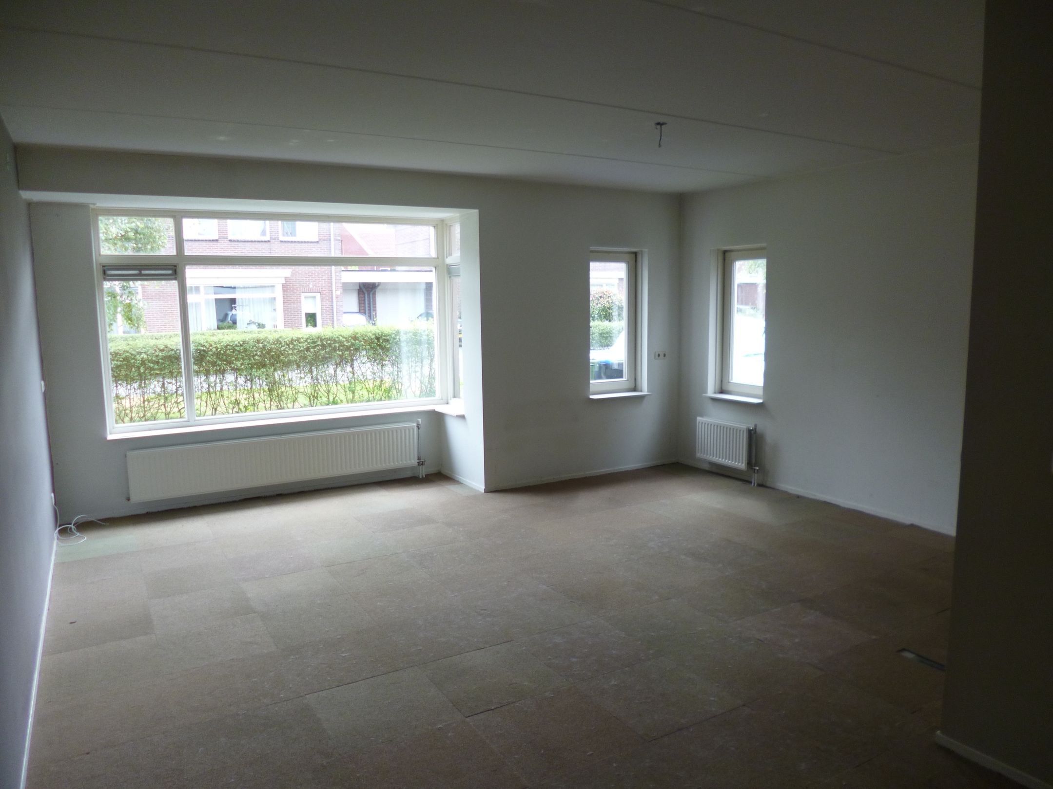 Photo 6 of Parnassia 12