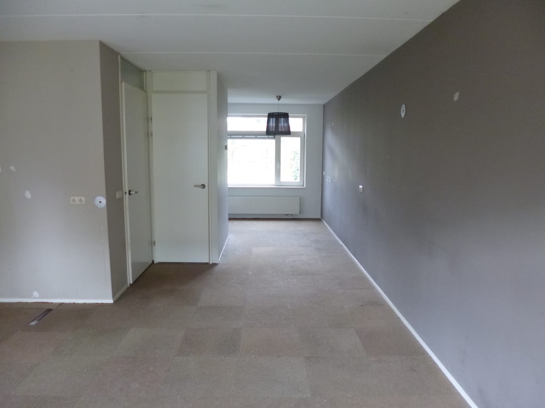 Photo 7 of Parnassia 12