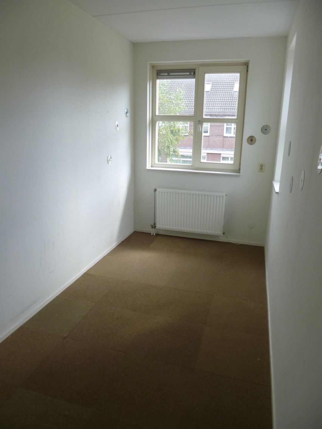 Photo 11 of Parnassia 12