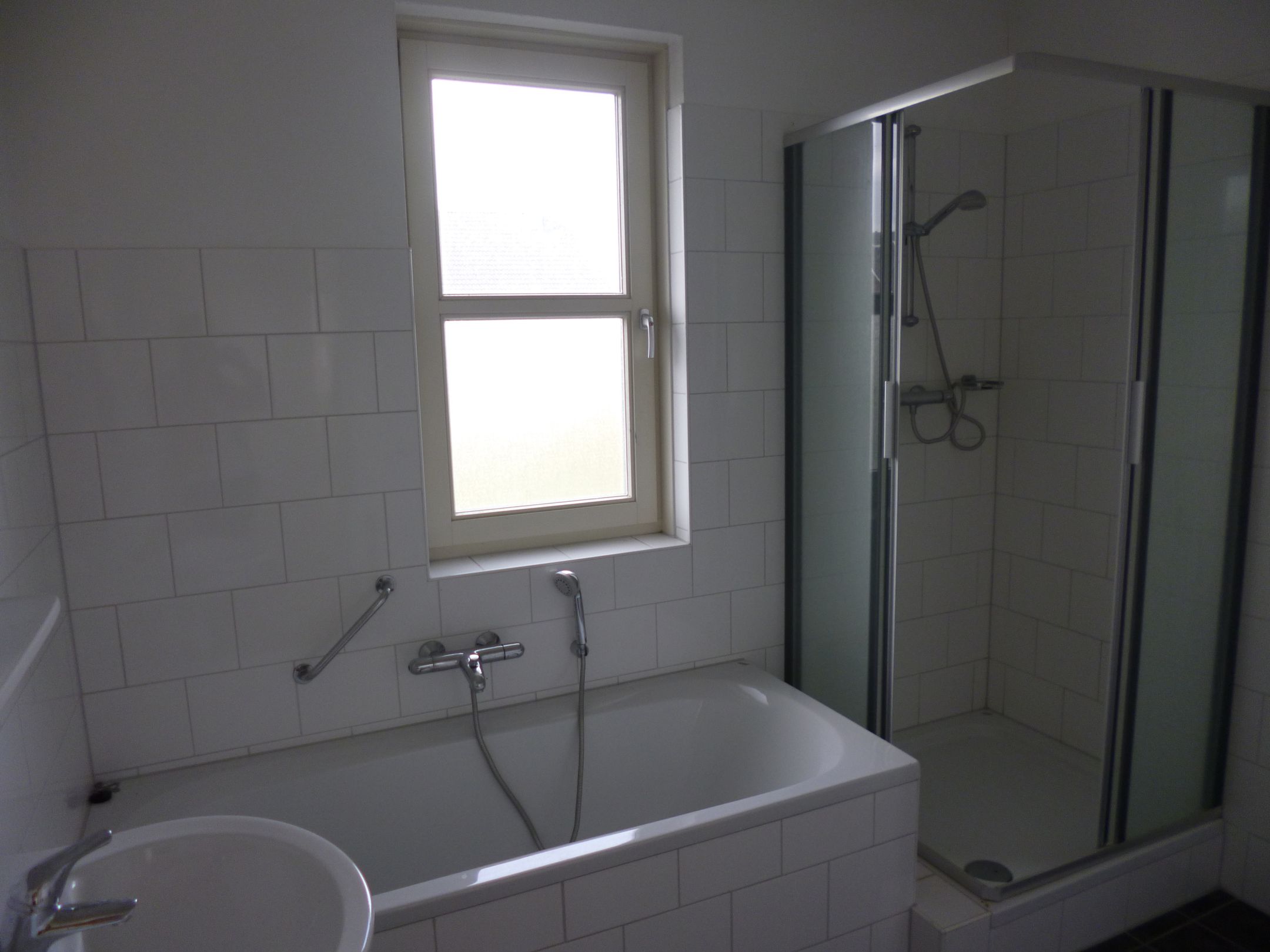 Photo 12 of Parnassia 12