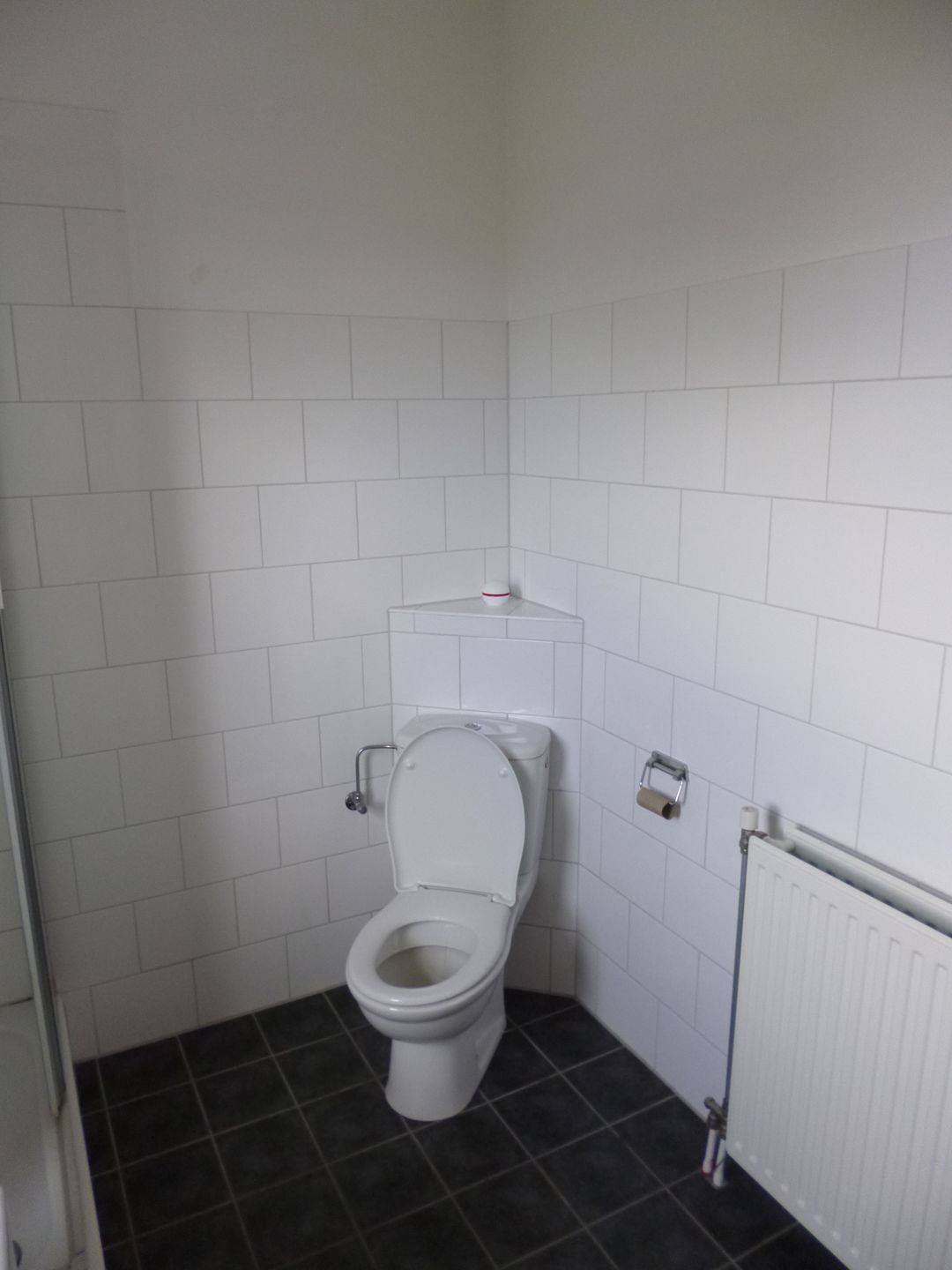 Photo 13 of Parnassia 12