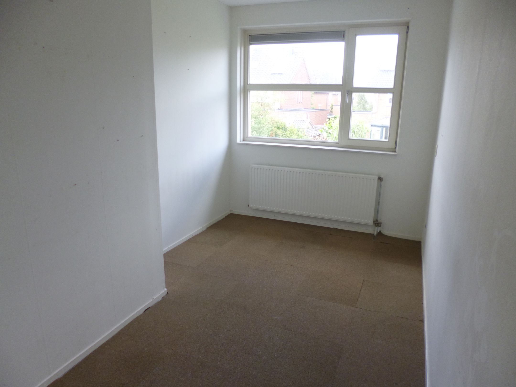 Photo 15 of Parnassia 12