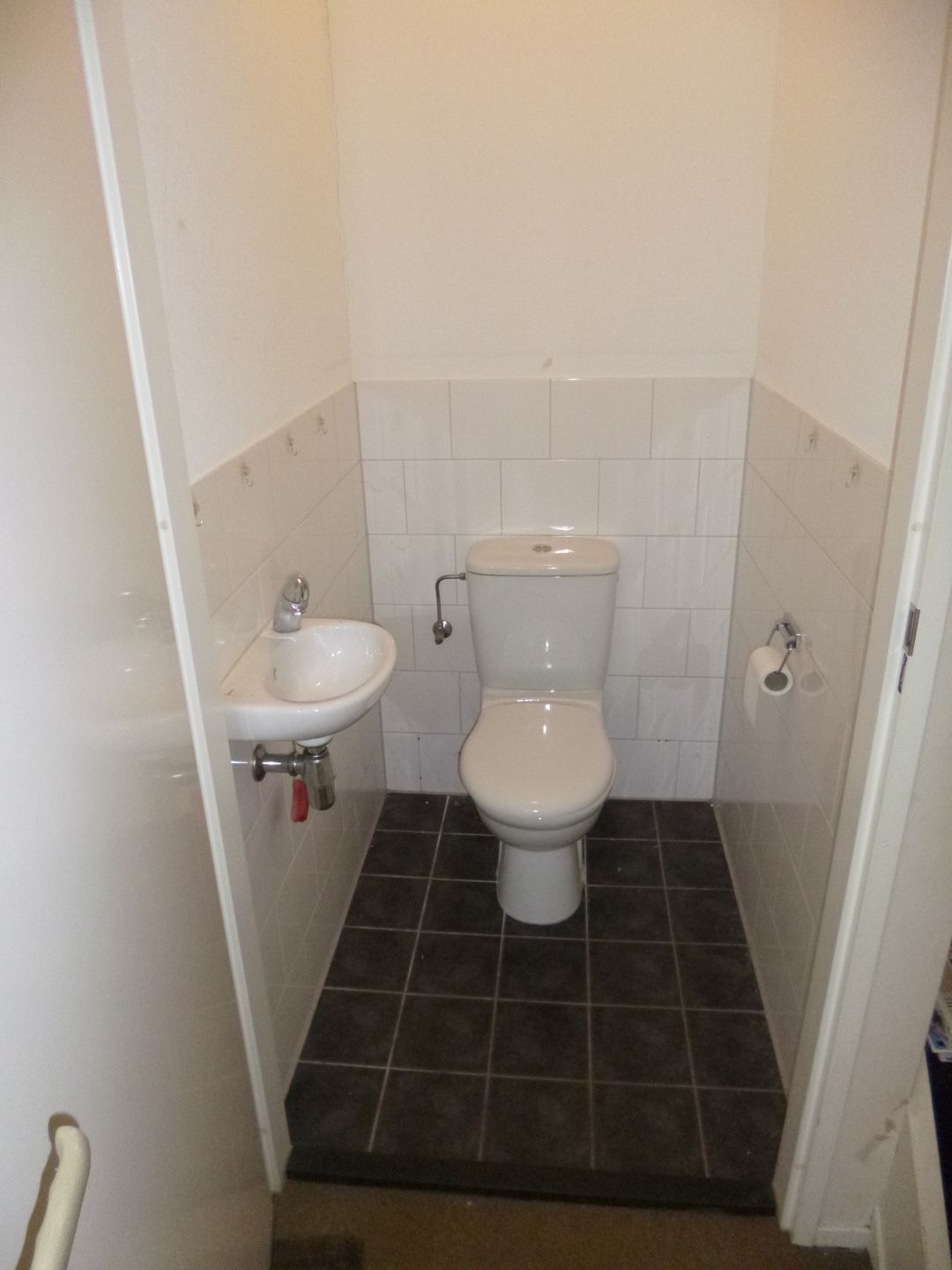 Photo 8 of Parnassia 12