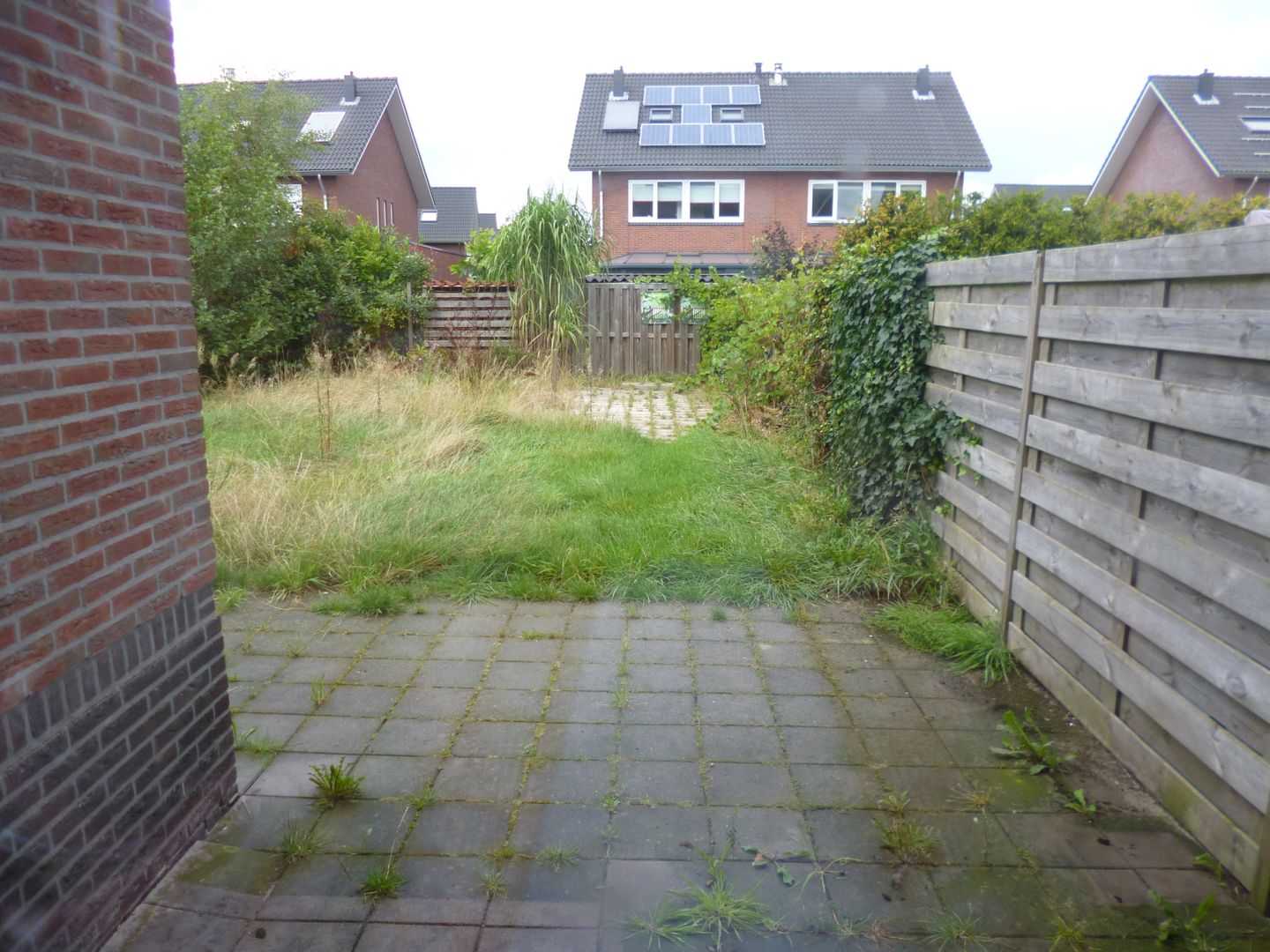 Photo 19 of Parnassia 12