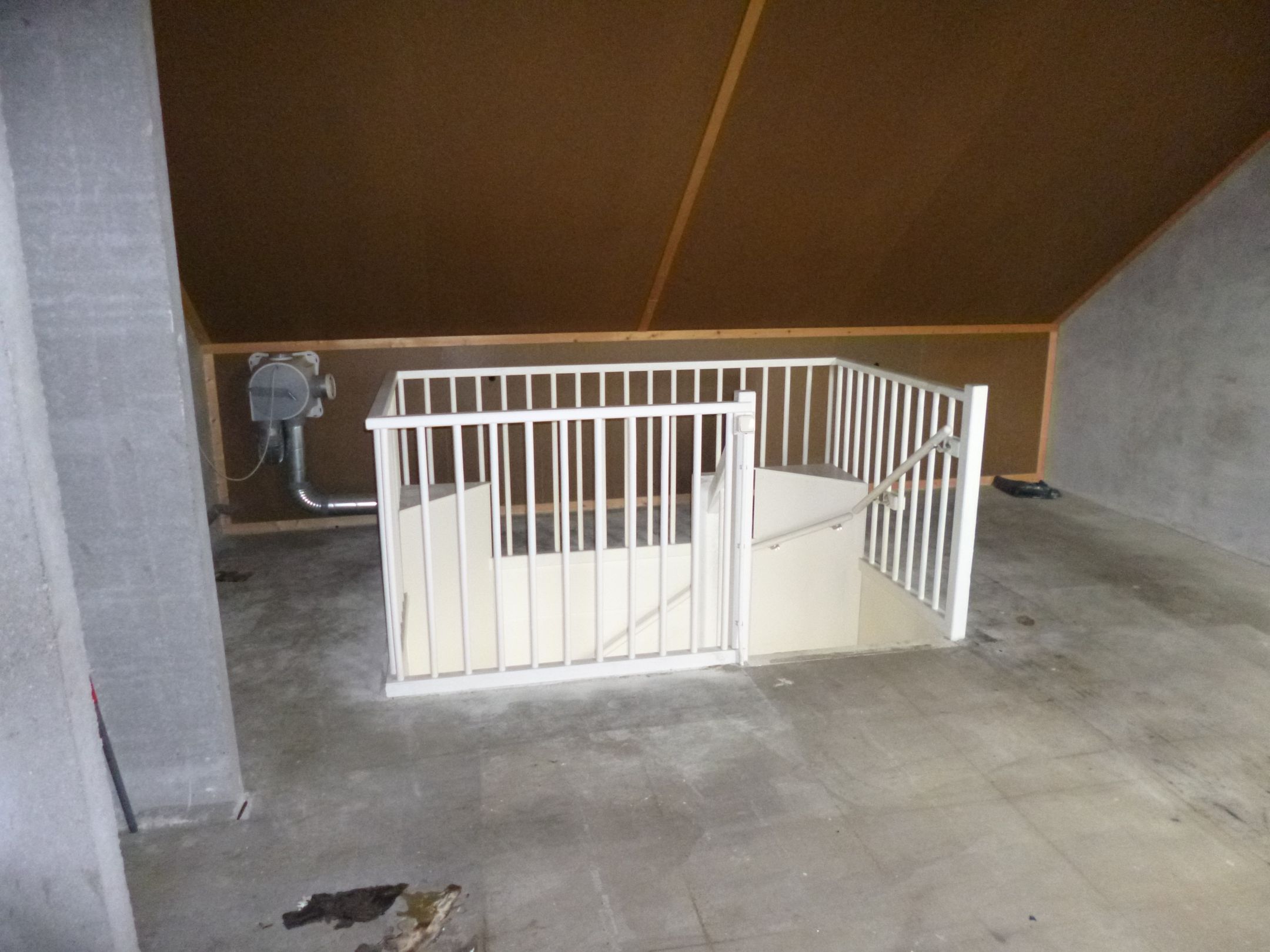 Photo 18 of Parnassia 12