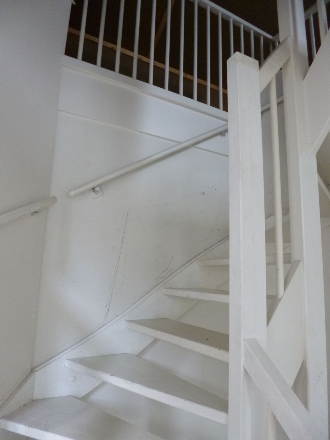 Photo 17 of Parnassia 12