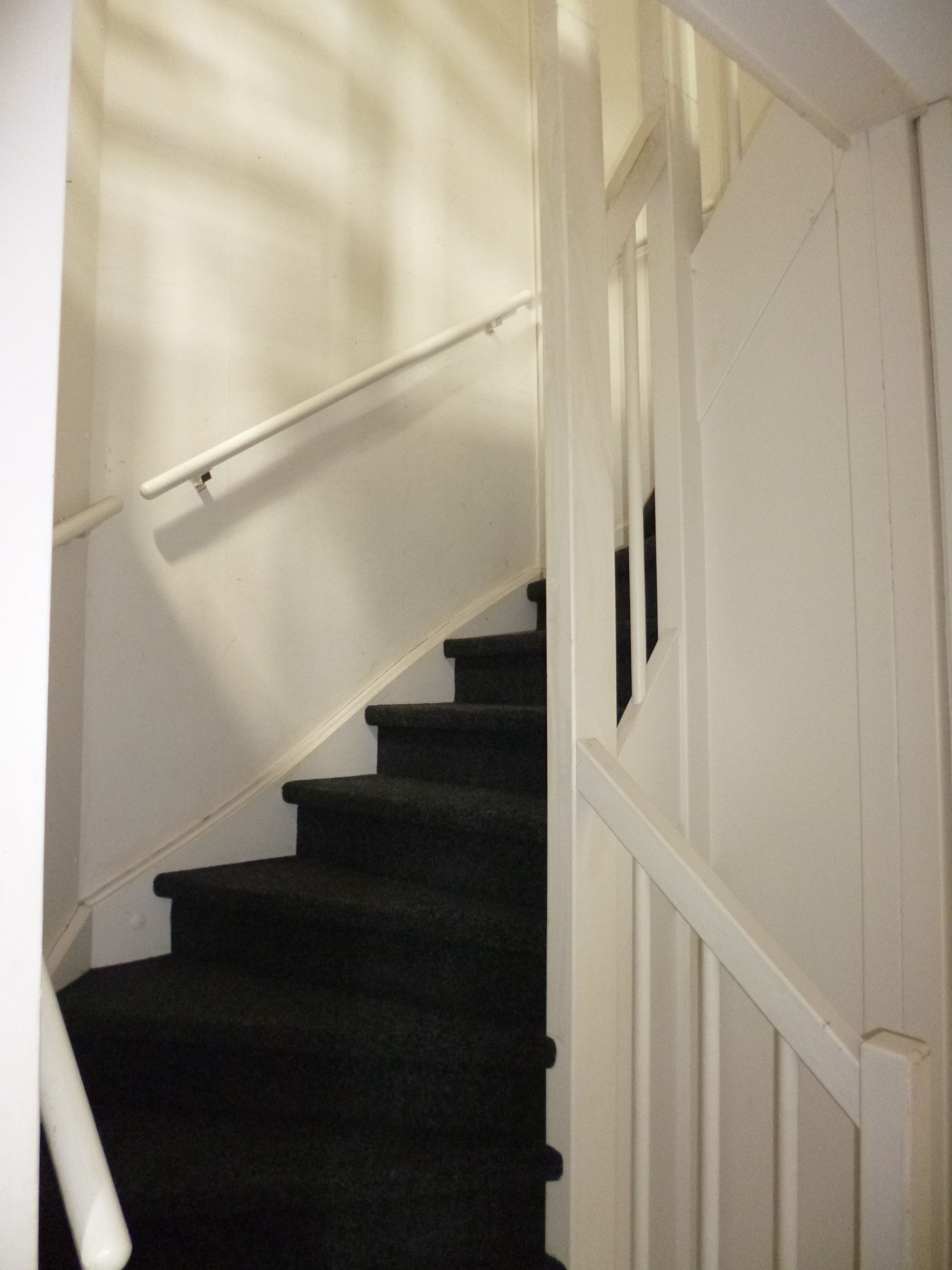 Photo 9 of Parnassia 12