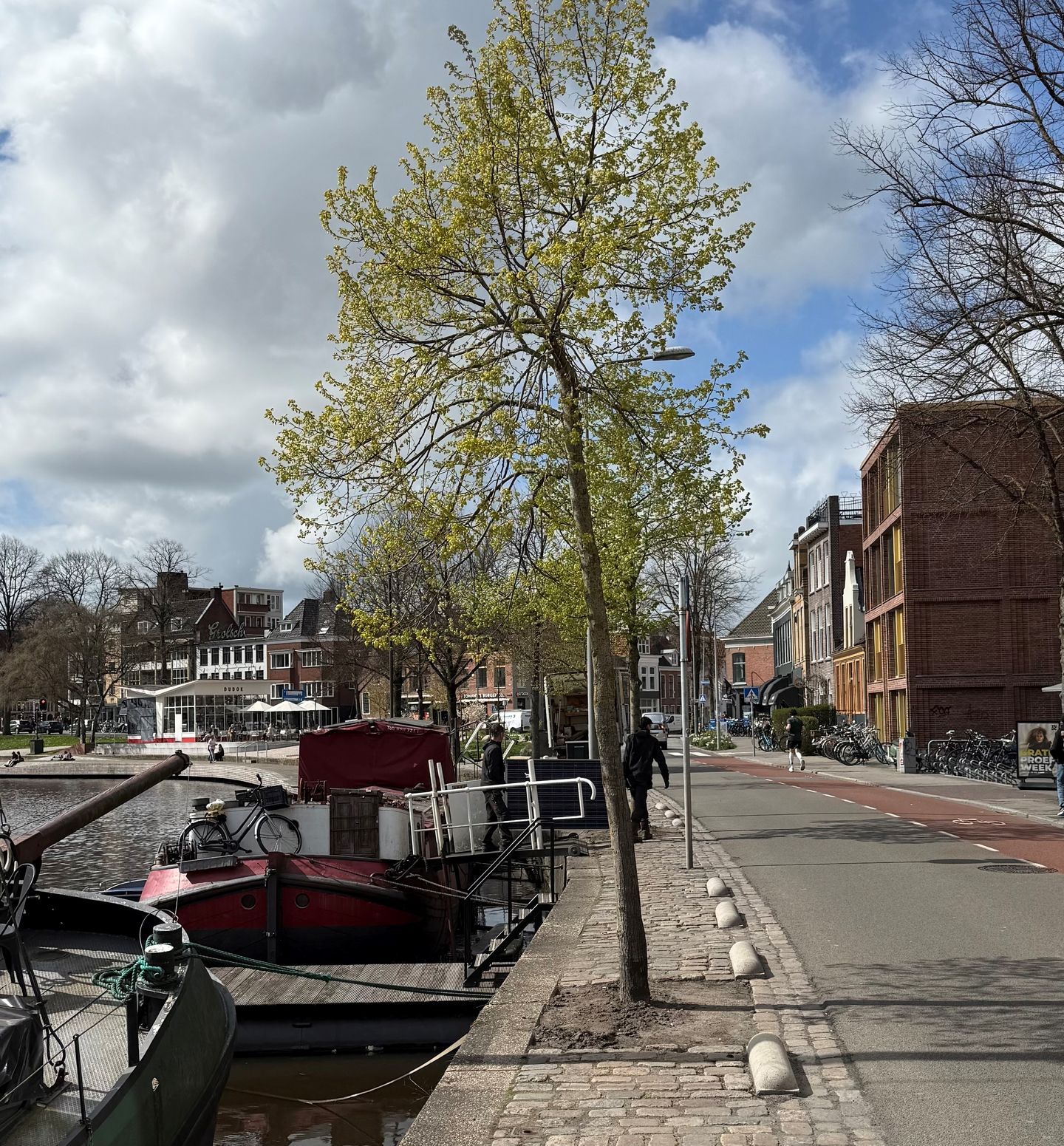 Bekijk foto 5 van Turfsingel 38