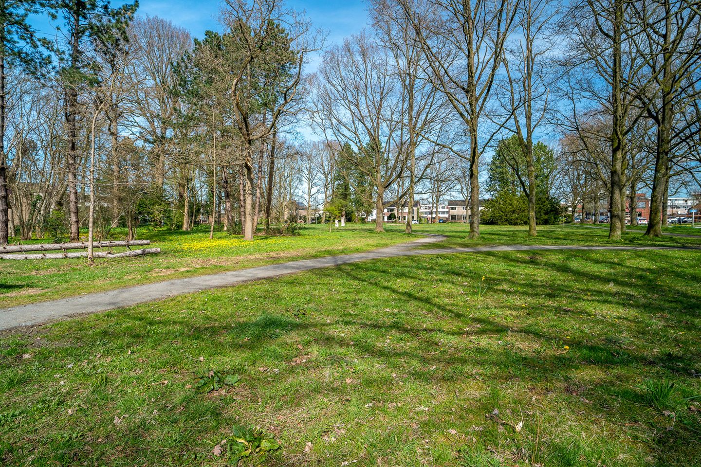 Foto 5 van Vondellaan 10