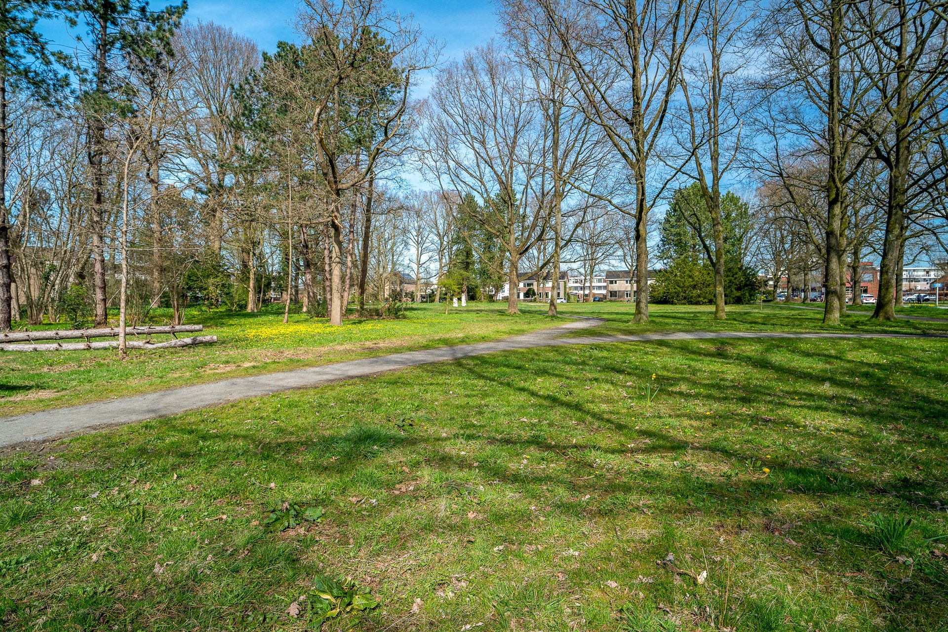 Foto 42 van Vondellaan 10