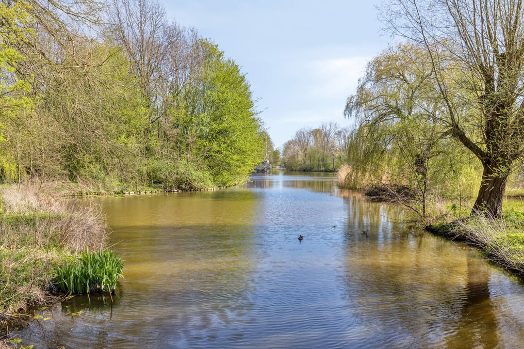 Foto 28 van Kringdans 17