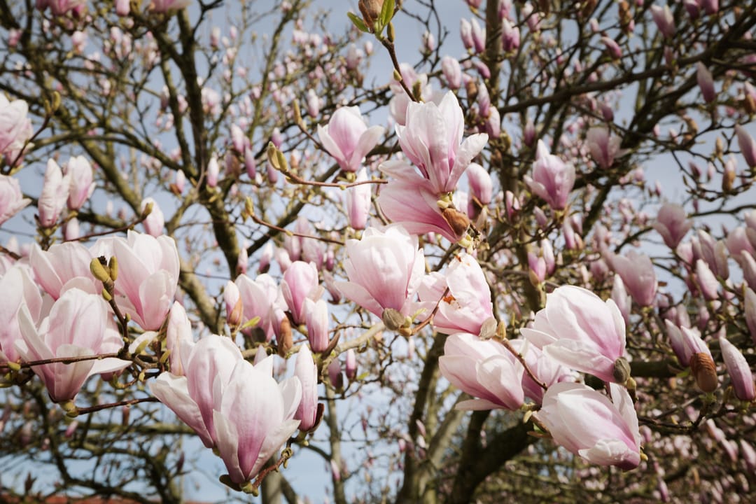 Foto 32 van Eikenweg 2