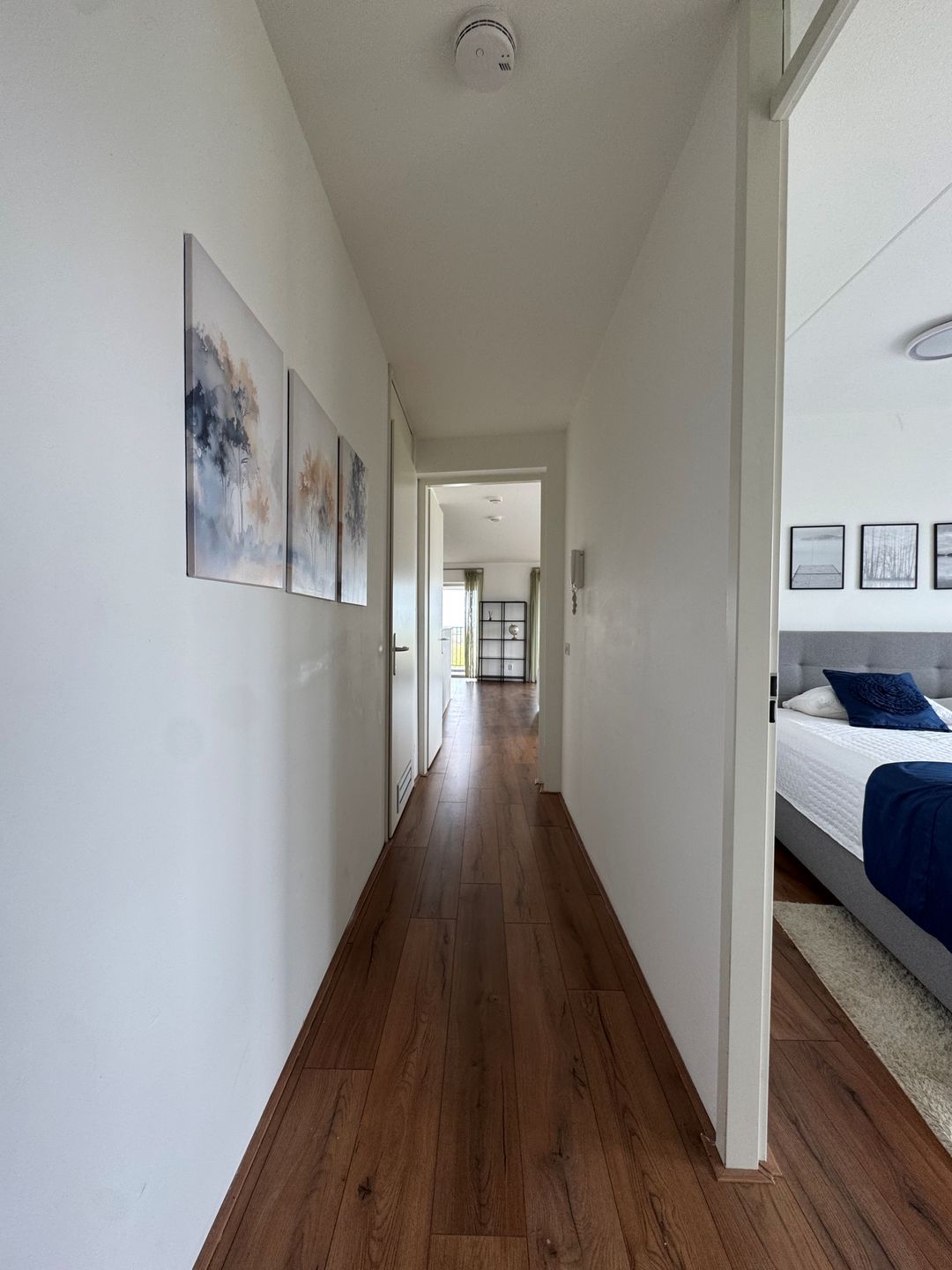 Foto 11 van Pretoriadreef 31