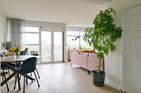 Kralingse Plaslaan thumbnail