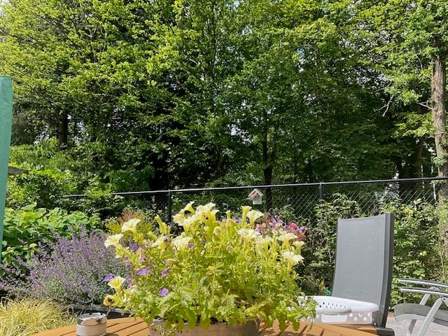 Foto 48 van Jan Barendsenstraat 9