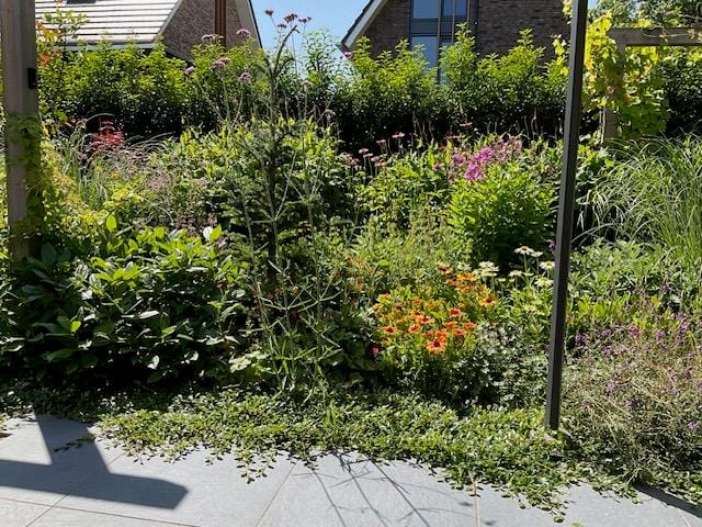 Foto 50 van Jan Barendsenstraat 9