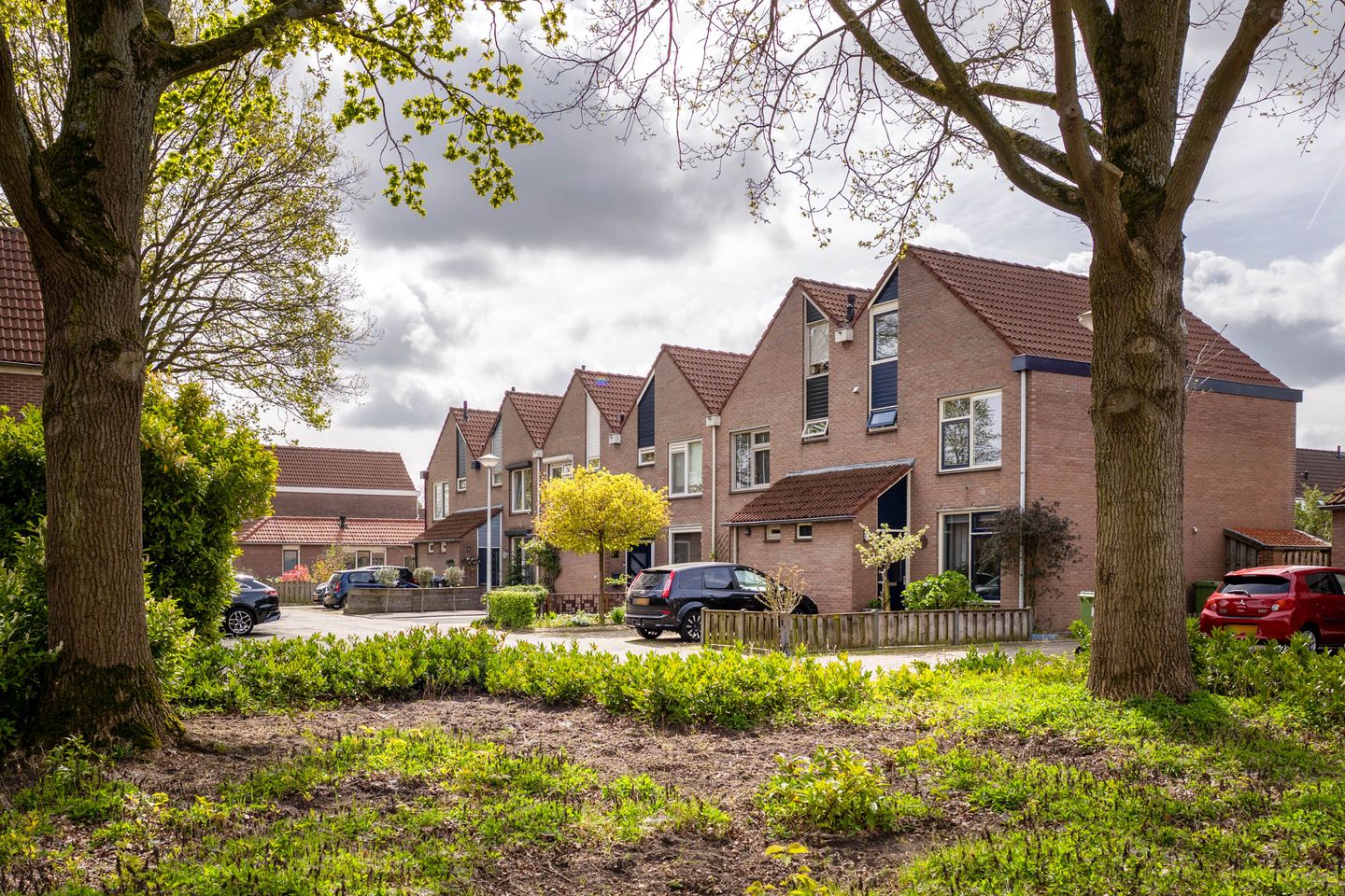 Foto 40 van de Eik 3