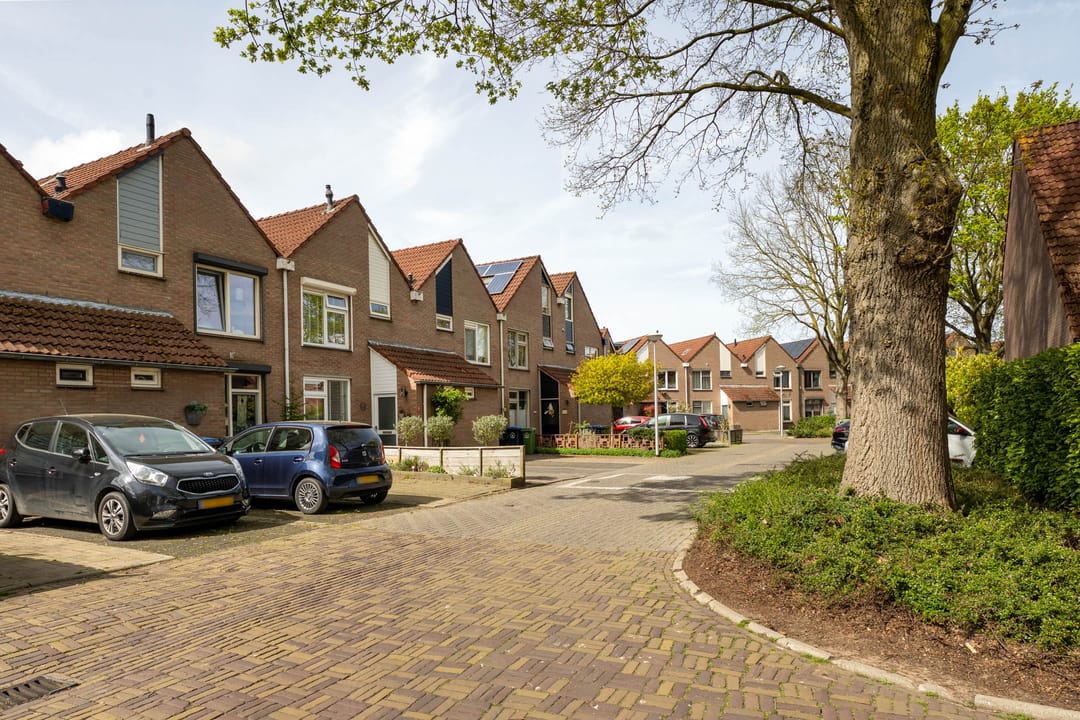 Foto 38 van de Eik 3