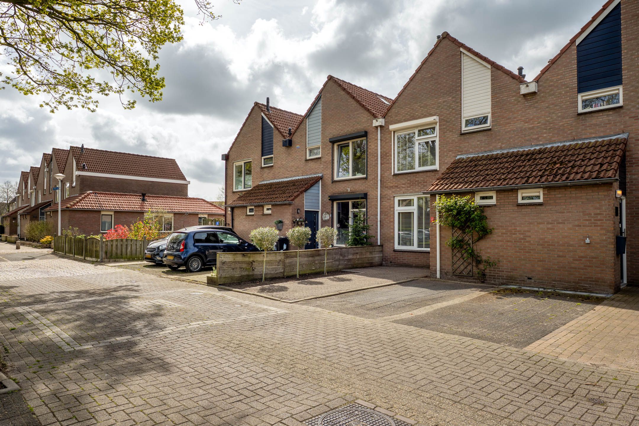 Foto 39 van de Eik 3