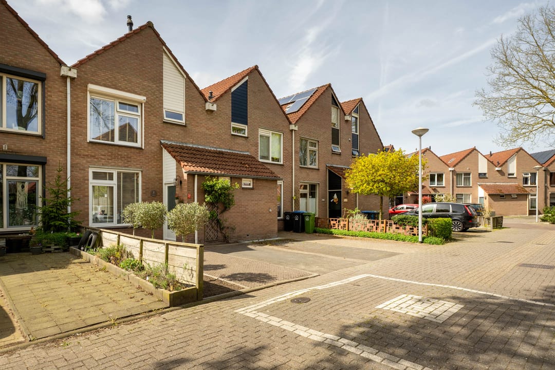 Foto 37 van de Eik 3