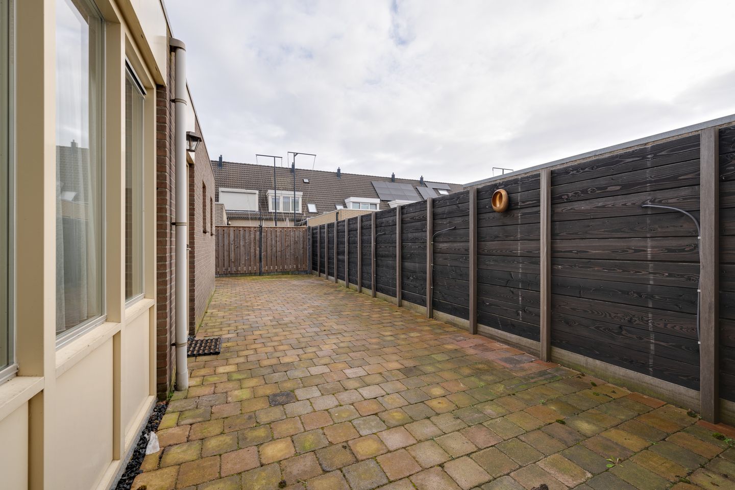 Photo 20 of Bloedkoraal 3