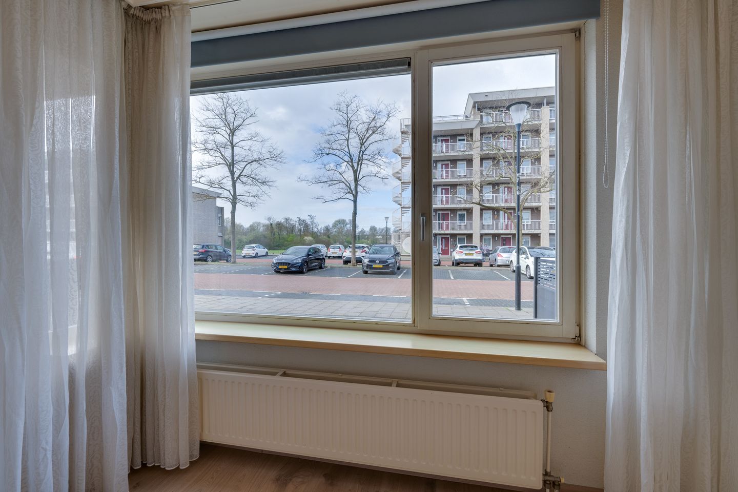 Photo 14 of Bloedkoraal 3