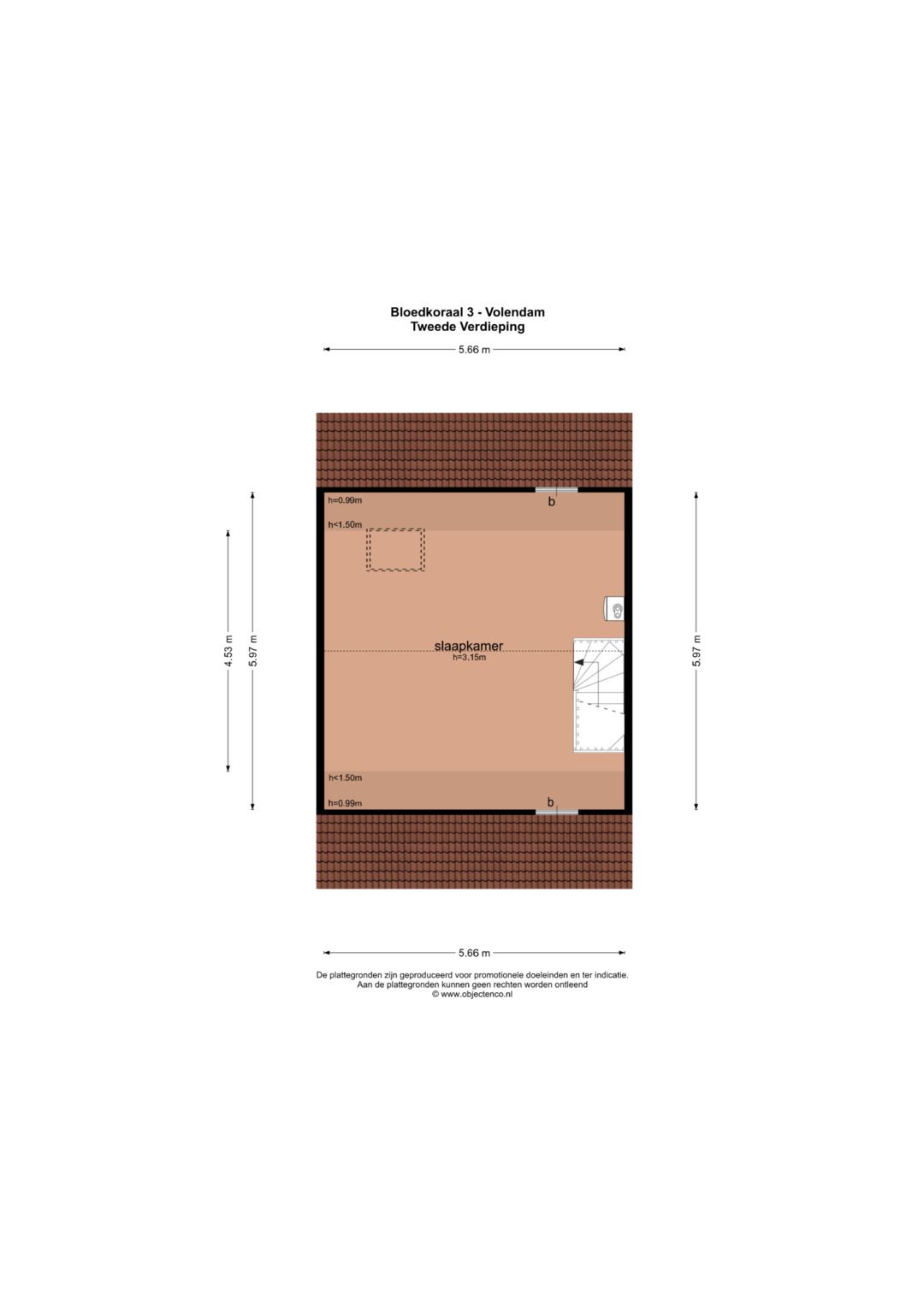 Photo 49 of Bloedkoraal 3