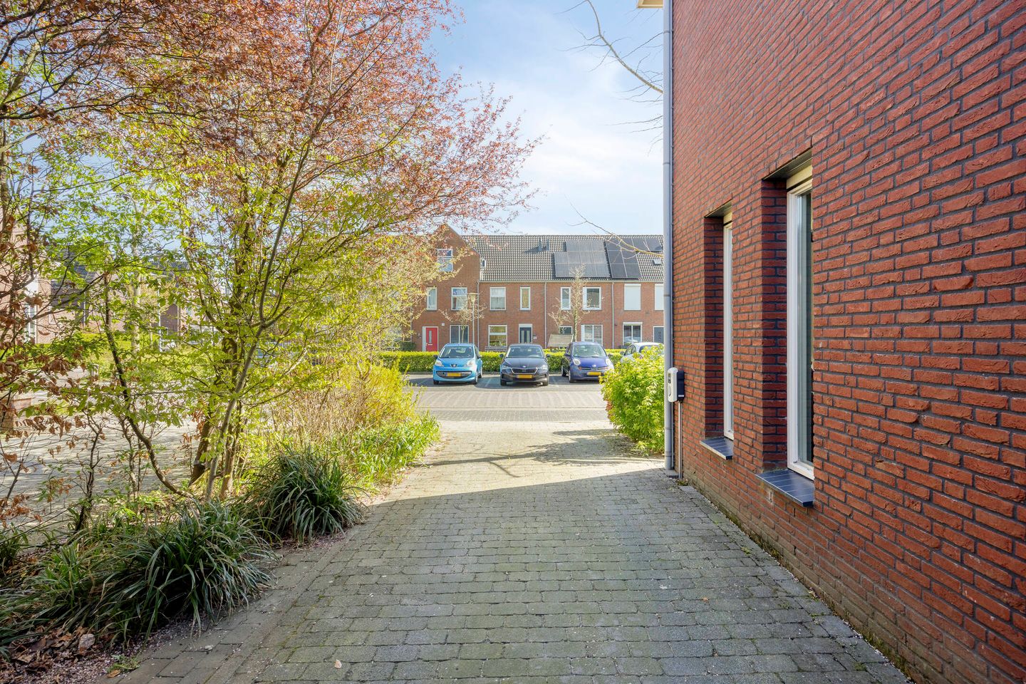 Foto 40 van Denarius 55