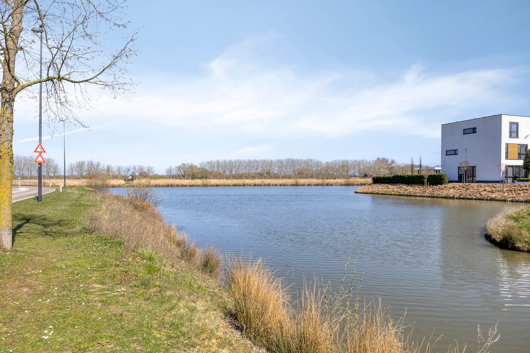 Foto 76 van Denarius 55