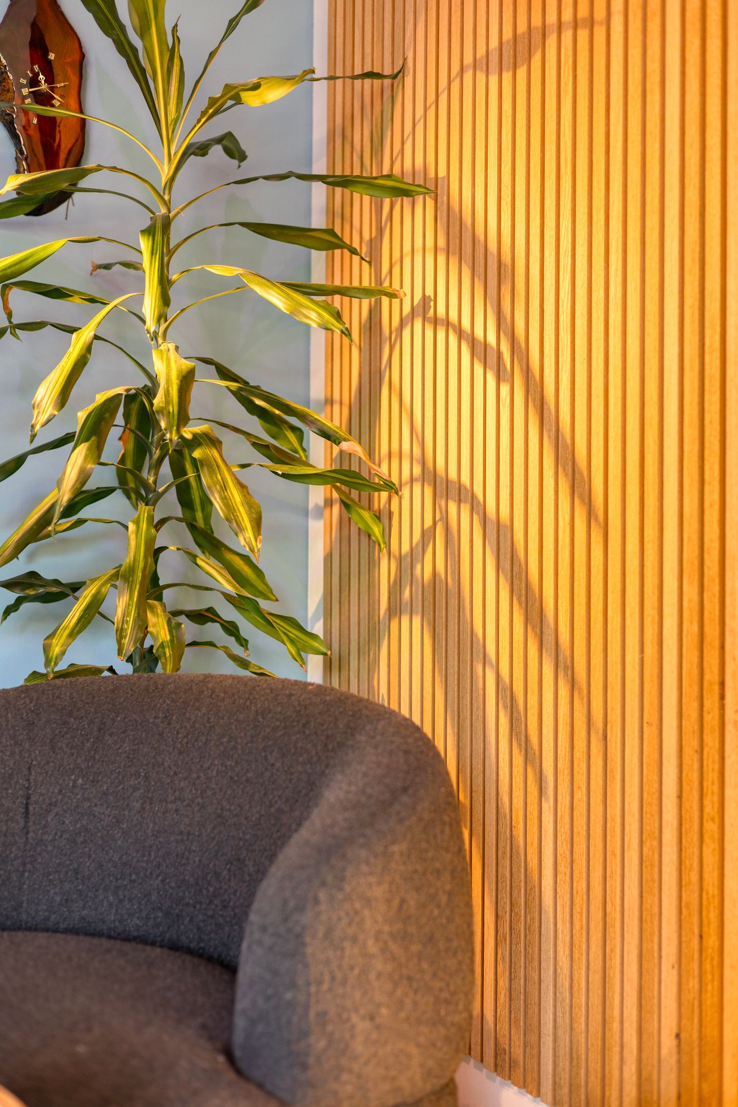 Foto 15 van Denarius 55