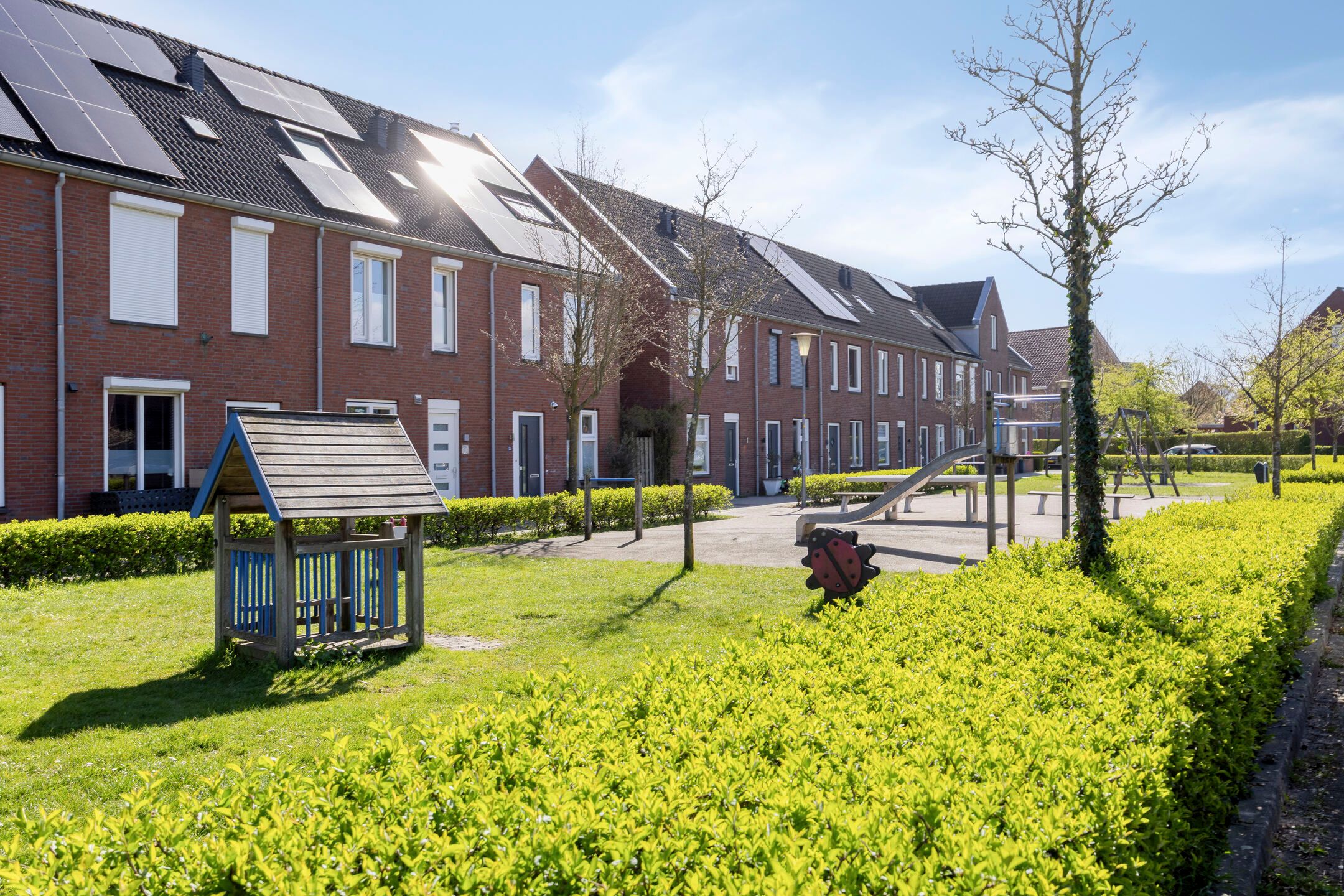 Foto 72 van Denarius 55