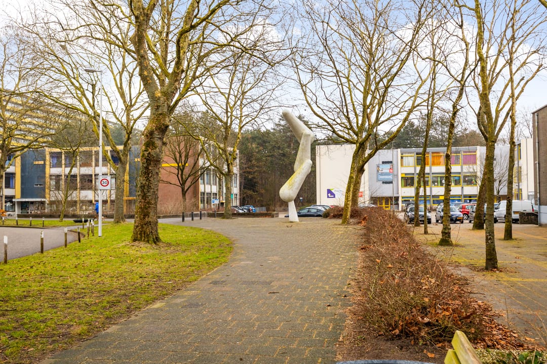 Foto 38 van Laan van Vollenhove 396