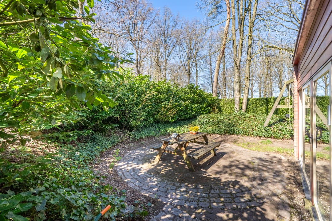 Foto 7 van Helderse Duinen 9