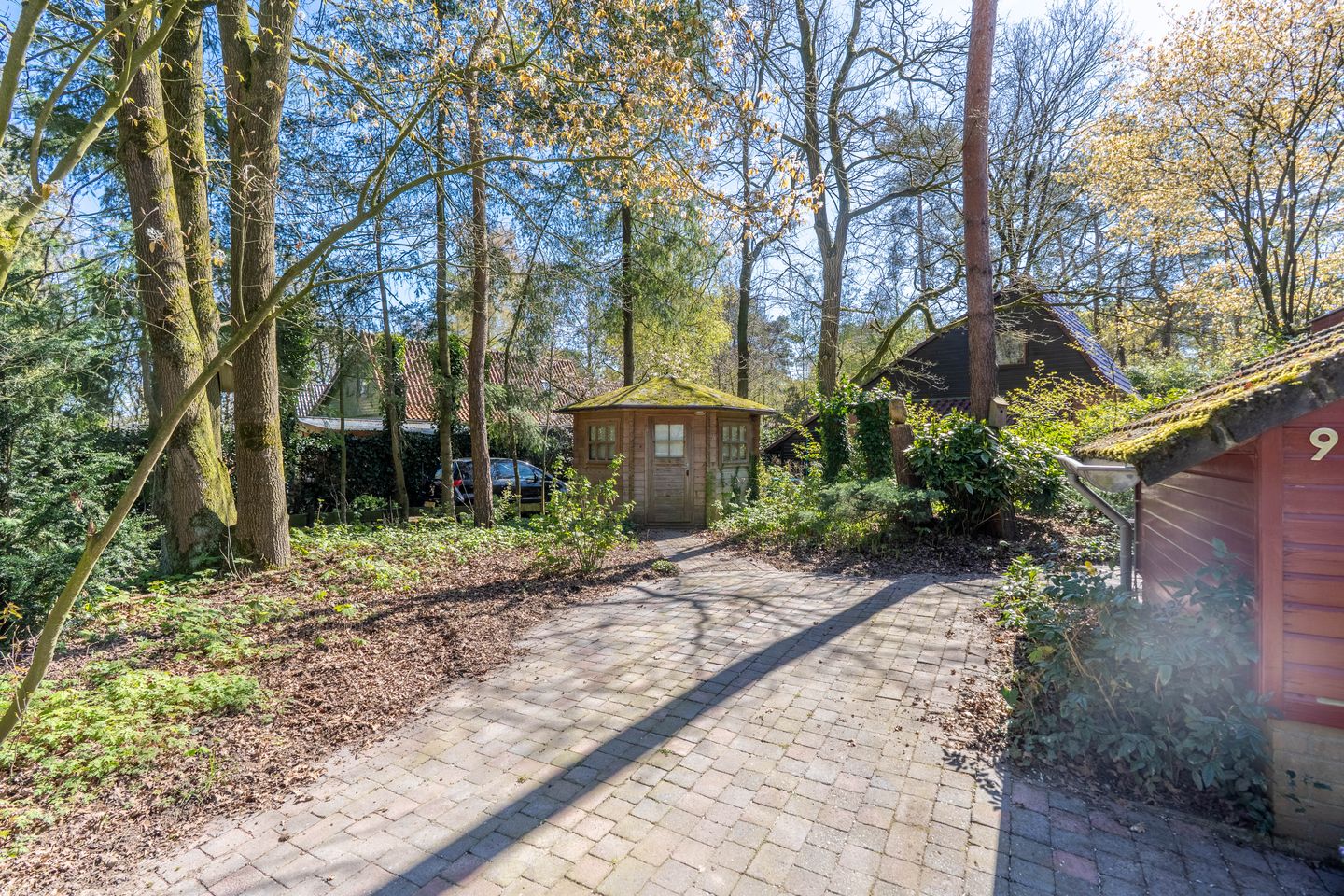 Foto 10 van Helderse Duinen 9