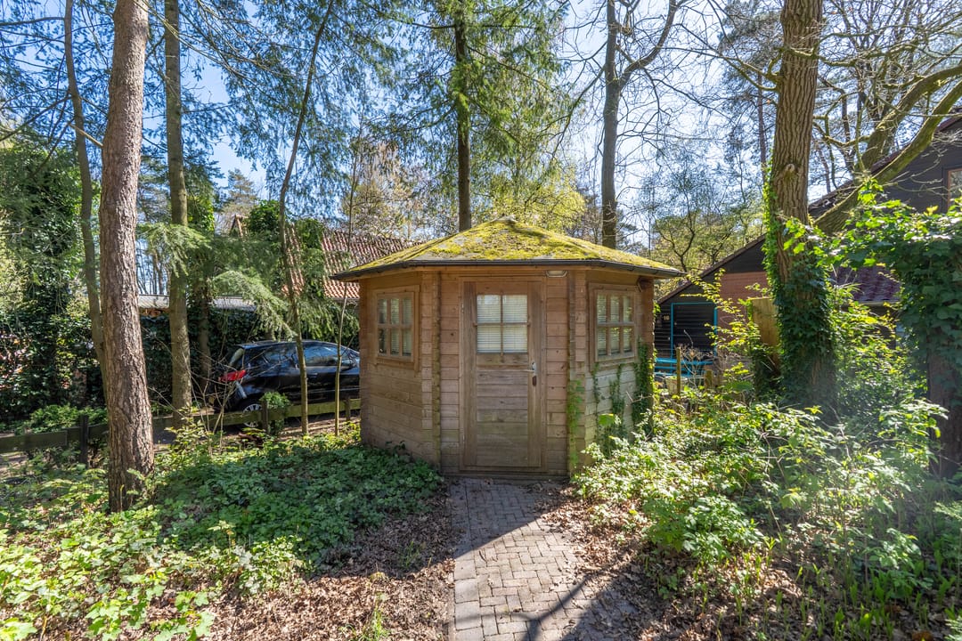 Foto 11 van Helderse Duinen 9